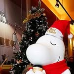 Jack Tung - @jacktung67 - Instagram
