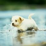 jack tunney - @jack.tunney - Instagram