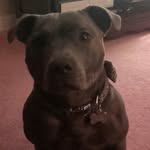 jacktunney - @jacktunney9885 - Instagram