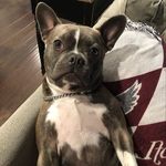 Jack Turpen - @_jack._.turp_ - Instagram