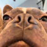 JackTurpen - @_bentley.is.awesome_ - Instagram