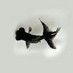 Jack_twist - @_jack_twist_ - Instagram