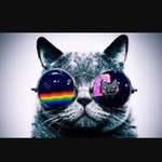 JackTynan_165 - @jacktynan165 - Instagram