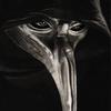 Jack Udell - @jackudell - TikTok