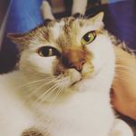 jack spulmer - @jackspulmer - Instagram