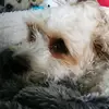Jack U - @jackumpleby - TikTok