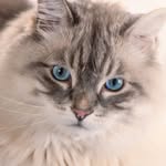 Theodore Jack Underhill - @catofthegreenwood - Instagram