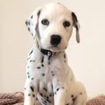 Jack Uren - @jack_uren_boi - Instagram