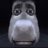 Jack Urquhart - @tick6667 - TikTok