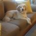 Jack Vance - Facebook