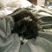 Jack VanDyke - Facebook