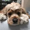 jackvarneyLiamSymmes - @jackvarney520 - TikTok