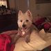 Jackie Vassallo - Facebook