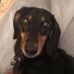 Jack Vaught - Facebook