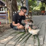Jack Chang - @jackveganforlife - Instagram
