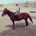 Jack Vega - @jack.vega.7315 - Instagram
