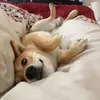 Jack Vega - @jack.vega2 - TikTok