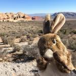 Jack Vegas - @therealjackvegas - Instagram
