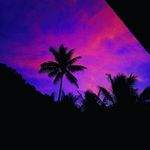 Jack Ventura - @jackv24 - Instagram