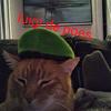 jack_verhoeven - @jack_verhoeven - TikTok
