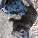 Jacky+Vesper_ - @jacky_vesper_ - Instagram