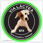 Via Láctea Jack Russell Terrier - @vialactea_jackrussell - Instagram