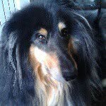 @jack_victor_ - Instagram
