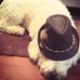 Jack Vilas - Facebook