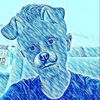 Jack Vine - @_jack_vine_ - TikTok
