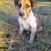 Jack Vinson - Facebook
