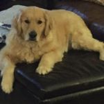 Jack Vinson - @jackvinson41 - Instagram