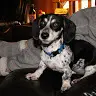 Jack Vinson - @user9qjli4e46u - TikTok