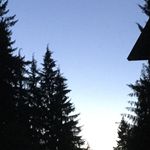 Jack - @jack_visser1 - Instagram