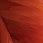 Jack Vogan - @voganjack - Instagram
