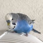 Jack De Vogel - @jack_de_vogel - Instagram