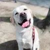 Jackie Volkmann - @jackievolkmann - TikTok