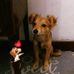 Jack la volpe - Facebook