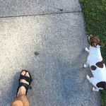 @jack_wakefield - Instagram
