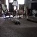 Jack Walling - Facebook