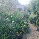 Jack Wallington Landscape Design - @jackwallingtonstudio - Instagram