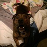 Jack Walthall - @pence_makes_pounds - Instagram