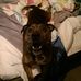Jack Walthall - Facebook