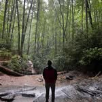 Jack McCarthy - @jackwanderinglost - Instagram