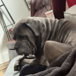 Jack Ware - @wareisjack - Instagram