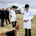 Jack warman - @jackwar08 - Instagram