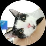 Jack & Wasabi - @jackandwasabi - Instagram
