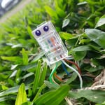 Jack - @jack_was_a_cable - Instagram