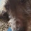 jackiewatanabe958 - @jackiewatanabe958 - TikTok