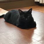Masato - @popo_jack_watanabe - Instagram