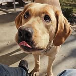 Jack Waugh - @hoosierdaddy.63 - Instagram